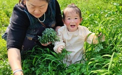 中国好歌曲20140207